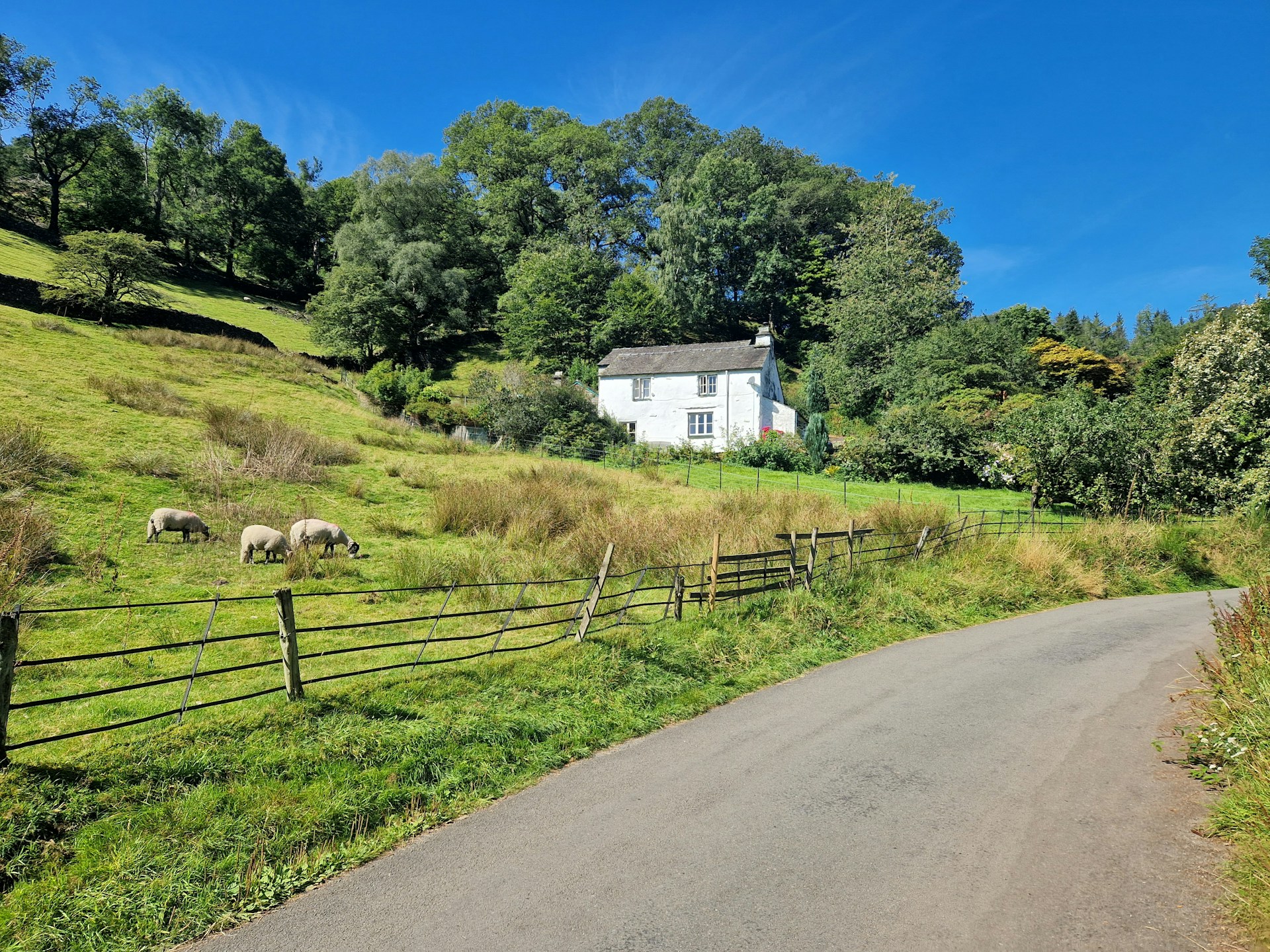 A traditional Lake District farmhouse on a hillside, with sheep grazing in the pasture below